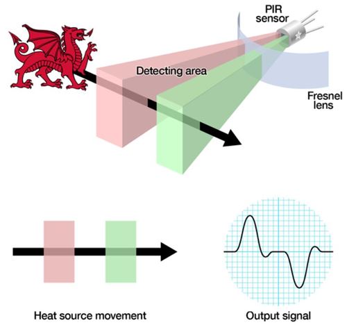 How PIR Sensors Work