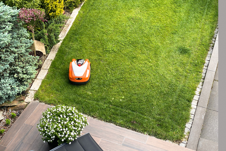 0124-Remote-elelectric-lawnmower-seen-from-above-body-image